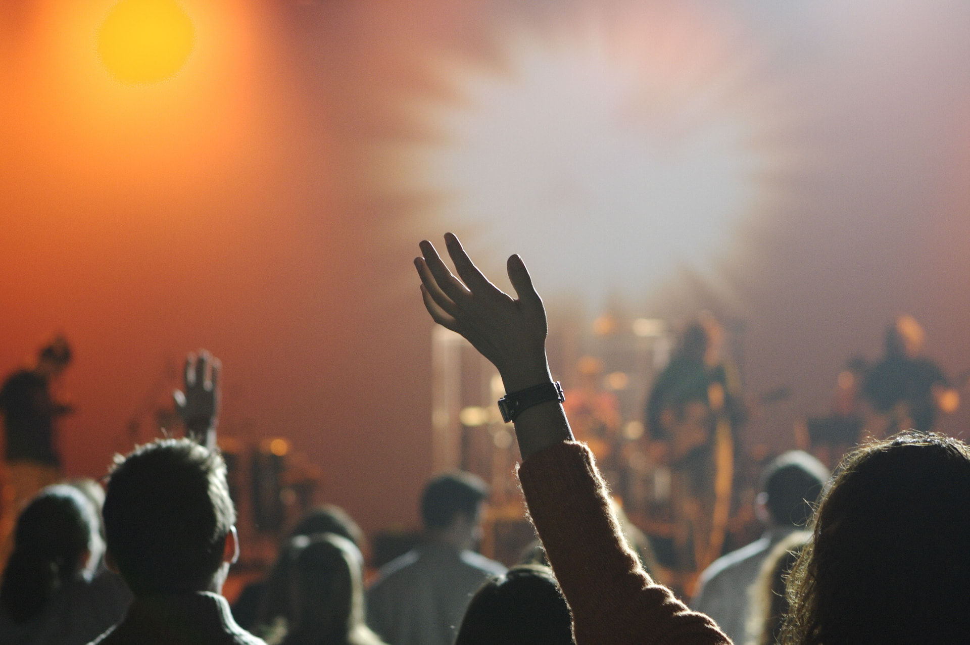 Audience at a live concert